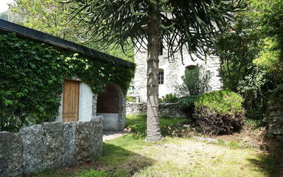 Ludiano 25: Feuille, Arbuste, Jardin, Mur De Pierre, Ombre, Arrière-Cour