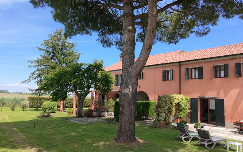 Ca' Rustica: Arbuste, Biens, Hacienda, Jardin, Aménagement Paysager, Cour, Pelouse, Allée, Ombre, Villa