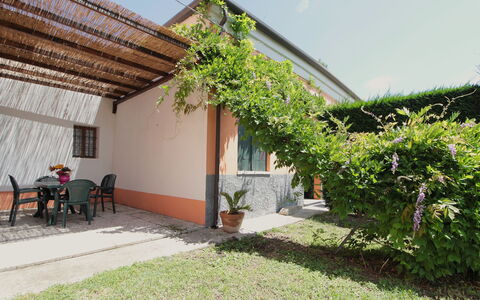 Ca' Rustica: Ombre, Jardin, Arrière-Cour, Cour, Hacienda, Aménagement Paysager, Eco Hôtel, Cour, Structure En Plein Air, Ferme