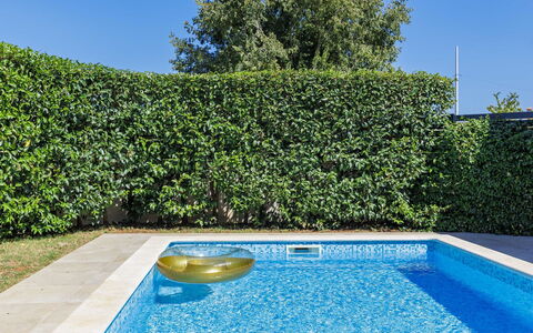 Matis: Meubles, Design Intérieur, Chaise, Sol, Table, Recours, Sol, Plafond, Pièce, Eco Hôtel