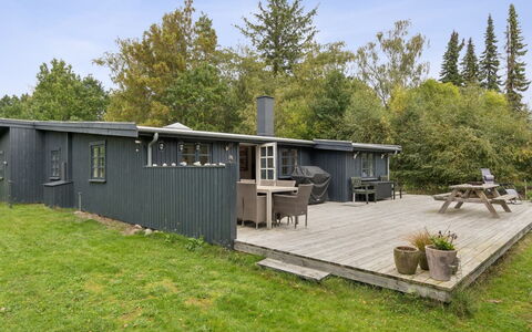 Talvikki - from the Sea: Bois, Chalet, Tache De Bois, Dur, Cabane En Rondins, Planche, Plafond, Matériau Naturel, Lumber, Batiments Jardin