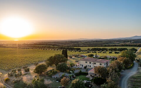 Villa Bellaria, Private Pool, Bolgheri: Paysage, Plaine, Horizon, Prairie, Lot Terre, Zone Rurale, Écorégion, Champ, Agriculture, Plantation