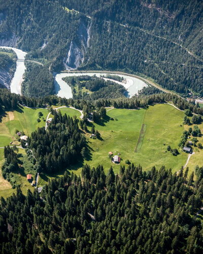 Selva 42