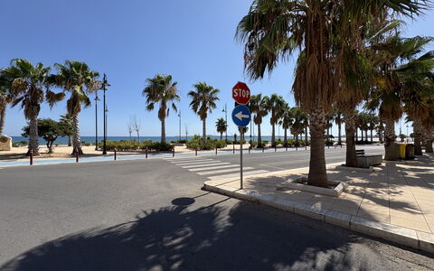 Appartamento Il Vulcano: Arbre, Éclairage Public, Ombre, Trottoir, Passerelle