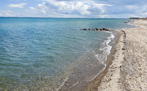 Joachim - 10M from the Sea: Bois, Meubles, Appartement, Pièce, Plafond, Tache De Bois, Chaise, Dur, Vernis, Lumber