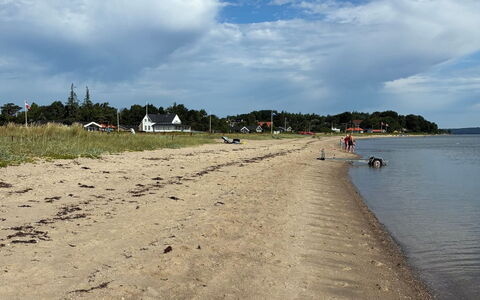 Fabian - 300M from the Sea: Bois, Meubles, Appartement, Pièce, Plafond, Tache De Bois, Chaise, Dur, Vernis, Lumber