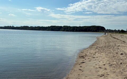Fabian - 300M from the Sea: Bois, Meubles, Appartement, Pièce, Plafond, Tache De Bois, Chaise, Dur, Vernis, Lumber