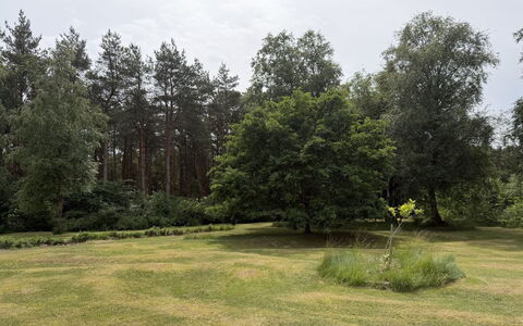 Fritzy - 1.5Km from the Sea: Bois, Meubles, Appartement, Pièce, Plafond, Tache De Bois, Chaise, Dur, Vernis, Lumber