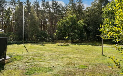 Fritzy - 1.5Km from the Sea: Herbe, Arbre, Feuille, Lot Terre, Pelouse, Jardin, Tronc, Bosquet, Ombre