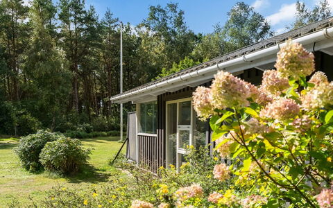 Fritzy - 1.5Km from the Sea: Végétation, Arbuste, Maison, Chalet, Domicile, Jardin, Lot Terre, Communauté Des Plantes, Couverture De Sol, Printemps
