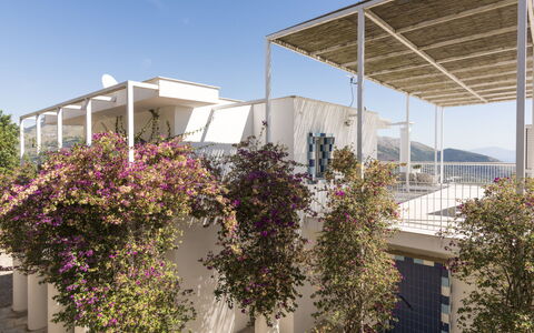 Capri: Balcon, Appartement, Ombre, Daylighting