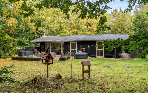 Nanook - from the Sea: Arbre, Maison, Domicile, Chalet, Toit, Arbuste, Zone Rurale, Jardin, Pelouse