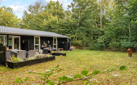 Nanook - from the Sea: Maison, Domicile, Chalet, Arbuste, Toit, Zone Rurale, Jardin, Couverture De Sol, Arrière-Cour, Pelouse