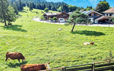 Edelweiss: Pâturage, Paysage, Zone Rurale, Prairie, Station De Montagne, Prairie, Pâturage, Chaîne De Montagnes, Troupeau