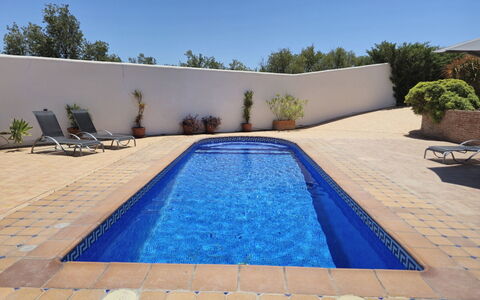 Laura: Bleu, Piscine, Composite, Mobilier De Jardin, Ombre, Caractéristique De L'Eau, Tuile, Recours