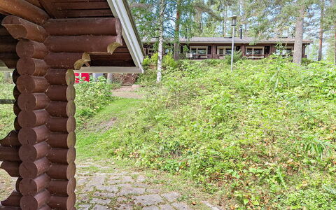 Mäkrä 3: Bois, Arbuste, Lot Terre, Couverture De Sol, Forêt, Printemps, Tronc, Des Bois, Jardin, Chalet