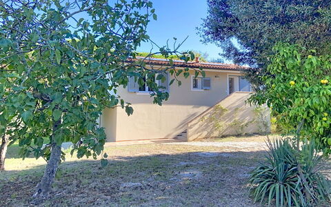 Linaglia: Ombre, Jardin, Arrière-Cour, Cour, Pelouse, Aménagement Paysager, Allée, Ombre, Ferme