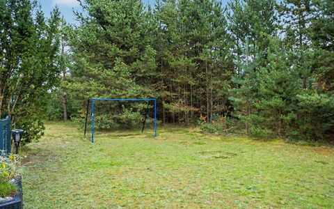 Karelia - 900M from the Sea: Arbre, Suppression Des Plantes Ligneuses, Pelouse, Jardin, Bosquet, Des Bois, Ombre, Parc, Aménagement Paysager, À Feuilles Persistantes