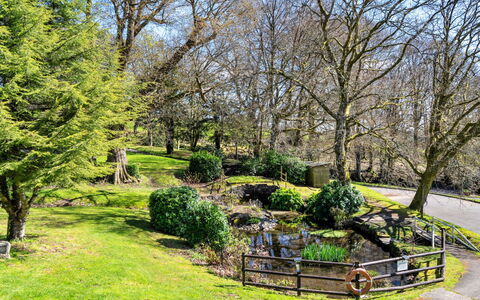 Foxgloves Valley Lodge: Herbe, Arbre, Feuille, La Nature, Branche, Arbuste, Paysage Naturel, Jardin, Paysage
