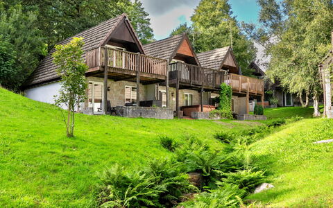 Daisy Valley Lodge: Maison, Chalet, Zone Rurale, Établissements Humains, Domicile, Couverture De Sol, Pelouse, Jardin, Cour, Ferme