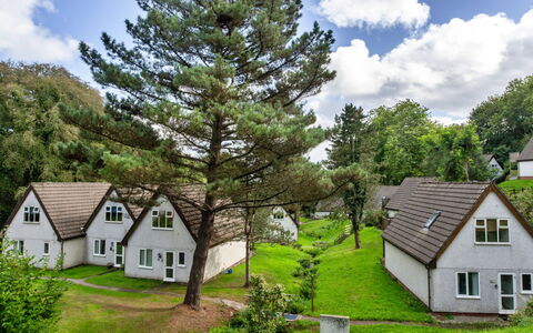 Daisy Valley Lodge: Arbuste, Zone Rurale, Chalet, Jardin, Pelouse, Prairie, Aménagement Paysager, Mélèze, À Feuilles Persistantes