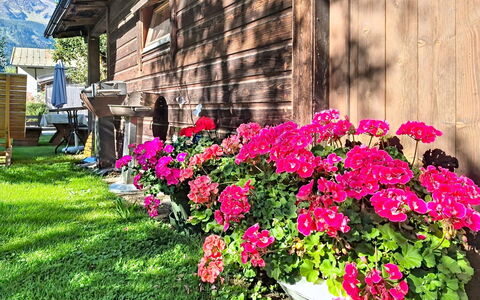 Mayrhofen 44: Fleur, Pétale, Jardin, Rose, Plante À Fleurs, Printemps, Couverture De Sol, Floristique, Pot De Fleur