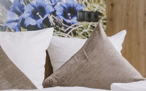Mayrhofen 44: Coussin, Chambre, Linge, Throw Pillow, Literie, Drap De Lit, Oreiller, Textile, Meubles, Lit