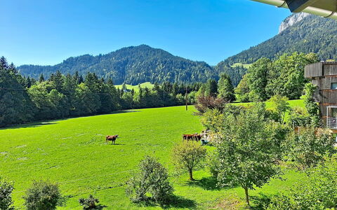 Ferienhaus Lanzinger: Montagnes Relief, Vert, Arbre, Herbe, Montagne, Paysage Naturel, Prairie, Colline, Montagnes, Paysage