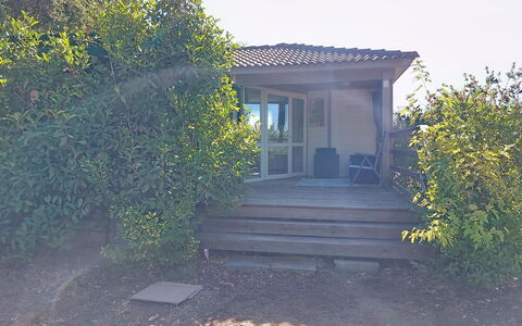 A Casetta: Arbuste, Lot Terre, Jardin, Chalet, Batiments Jardin, Arrière-Cour, Aménagement Paysager, Ombre, Biens, Cour