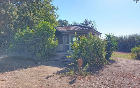 A Casetta: Arbuste, Chalet, Domicile, Lot Terre, Biens, Jardin, Batiments Jardin, Allée, Ombre
