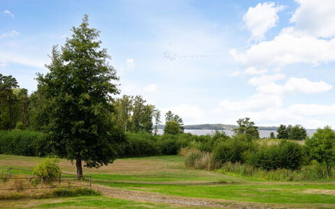 Björkfjärden: Ciel, Bleu, Feuille, Vert, Herbe, Arbre, La Nature, Environnement Naturel, Branche, Végétation