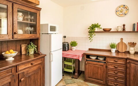 Il Ghiro: Mobilier De Jardin, Arbuste, Maison, Tableau De Plein Air, Meubles, Domicile, Jardin, Pelouse, Arrière-Cour, Biens