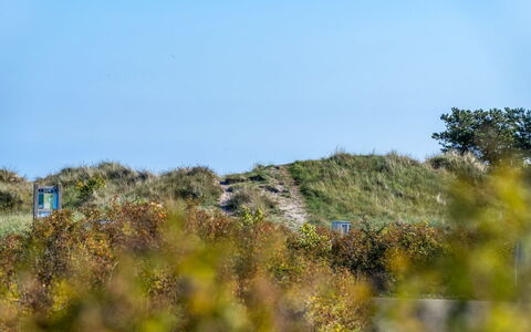 Herdina - 300M from the Sea: Ciel, Bleu, Herbe, Vert, Végétation, Écorégion, Prairie, Communauté Des Plantes, Arbuste