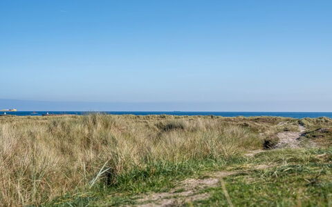 Herdina - 300M from the Sea: Bleu, Herbe, Horizon, Prairie, Écorégion, Été, Mer, Communauté Des Plantes, Formations Arbustives, Plaine