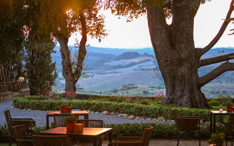 La Veduta – Scenic Views, Historic Castelfalfi: Meubles, Jardin, Tableau De Plein Air, Mobilier De Jardin, Aménagement Paysager, Ombre, Eco Hôtel, Plantation, Soirée