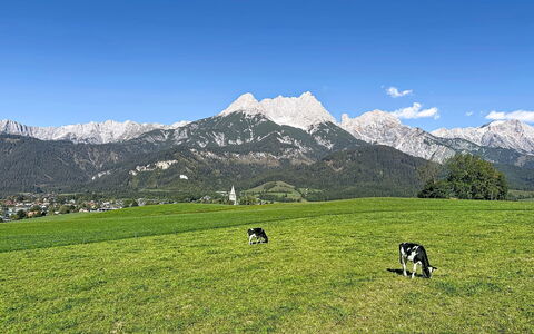 Thorermartlgut Incl. Gästekarte: Architecture, Pente, Chalet, Chaîne De Montagnes, Cabane En Rondins, Siding, Lumber, Alpes, Eco Hôtel, Village De Montagne