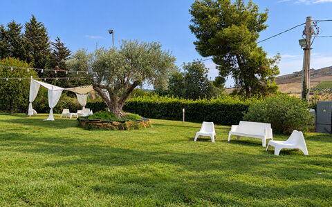 Casa Boungalow: Herbe, Arbre, Vert, Paysage, Jardin, Pelouse, Lot Terre, Couverture De Sol