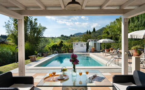 Al Melo: Piscine, Meubles, Recours, Mobilier De Jardin, Pot De Fleur, Chaise, Eco Hôtel, Biens, Plante D'Appartement, Hacienda