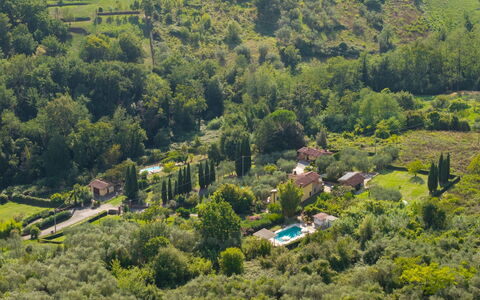 Al Melo: Arbre, Végétation, Paysage, Zone Rurale, Maison, Arbuste, Zone Résidentielle, Communauté Des Plantes, Toit, Lot Terre