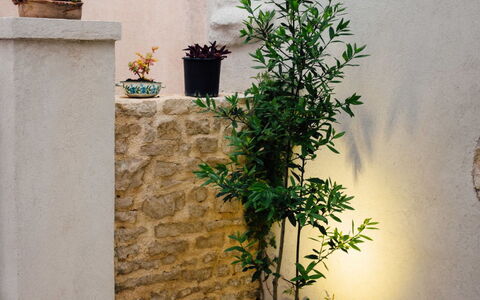 Marijana: Pot De Fleur, Béton, Plante D'Appartement, Jardin, Dalle, Herbe, Cour