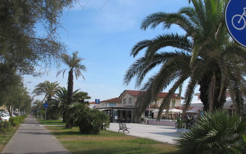 Casa Corallina: Arbre, Espace Public, Ombre, Trottoir, Passerelle, Allée