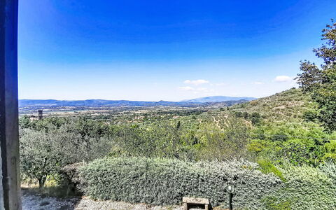 La Villa di Andrea: Bleu, La Nature, Végétation, Colline, Paysage, Communauté Des Plantes, Matin, Lumière Du Soleil, Formations Arbustives, Chaparral