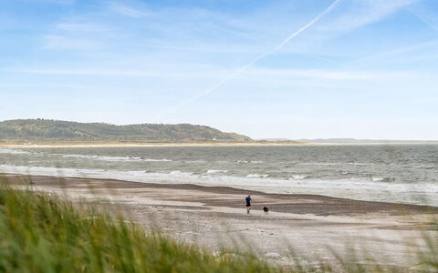 Alena - 50M from the Sea: Environnement Naturel, Plage, Côte, Horizon, Écorégion, Mer, Cotiers Et Relief Océaniques, Rive, Océan, Le Sable