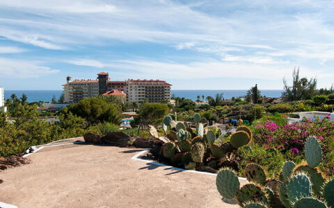 Red Rocks: Jardin, Aménagement Paysager, Vacances, Passerelle, Tropiques, Jardin Botanique