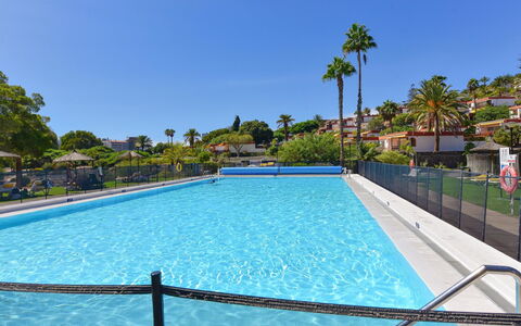 Red Rocks: Arbre, Piscine, Recours, Loisir, Des Loisirs, Ombre, Vacances, Eco Hôtel, Hôtel