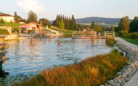 Stephi: Plan D'Eau, Banque, Cours D'Eau, Lac, Étang, Réservoir, Réflexion, Canal, Jardin, Caractéristique De L'Eau