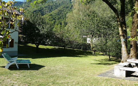 Ca' Angiulin: Pelouse, Jardin, Ombre, Parc, Cour, Arrière-Cour, À Feuilles Persistantes