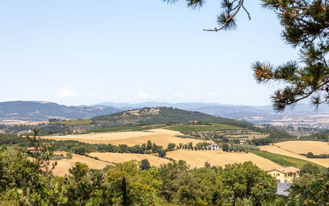 Il Melograno Apartament: Ciel, Arbre, Feuille, La Nature, Végétation, Paysage Naturel, Colline, Écorégion, Paysage, Communauté Des Plantes