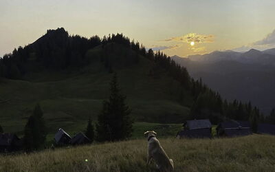 Schneehitzalmhütte