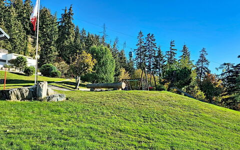 Crans-Montana 480: Herbe, Vert, Prairie, Paysage, Lot Terre, Prairie, Pelouse, Pâturage, Mélèze